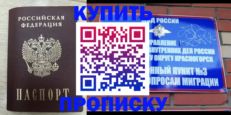 прописка гарантия в Жирновске
